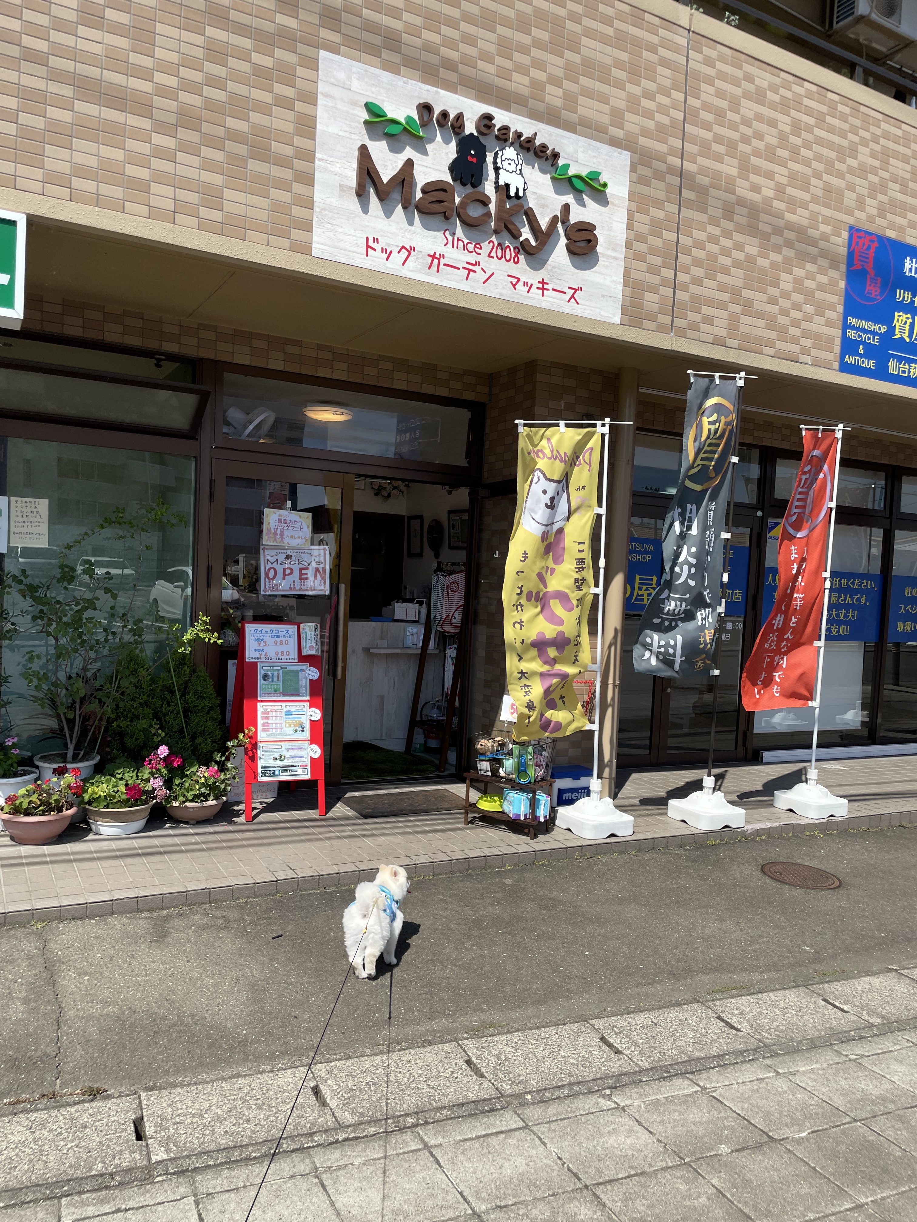 新店舗・萩野町2丁目11-1 セブンイレブン向かいです。