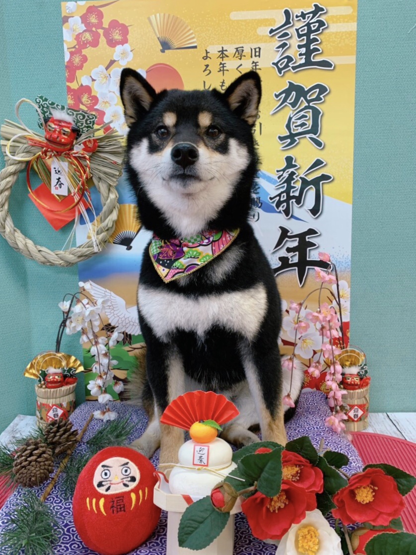 ゼニくん